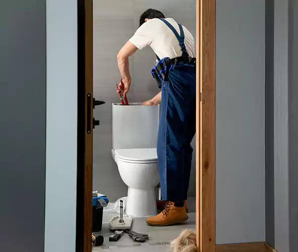 Professional Plumbers for Toilet Bowl Replacement in Mastic, NY: Schedule Affordable Toilet Replacement Services With Us