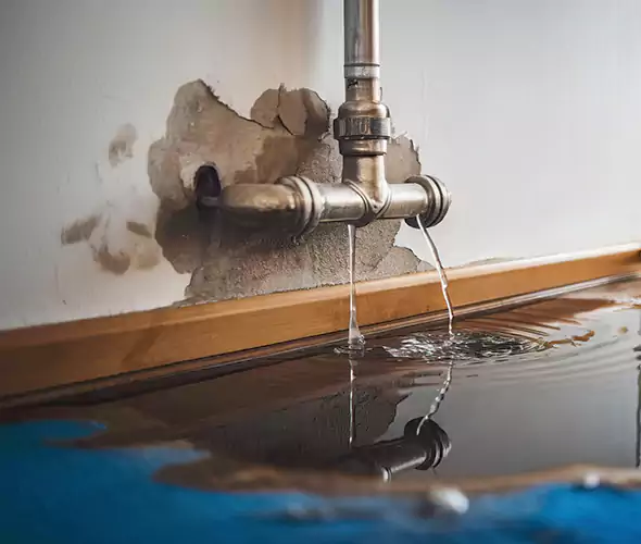 Professional Water Damage Restoration Experts in Mastic, NY — Fast, Reliable & Certified