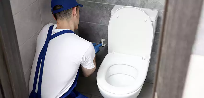 Toilet Lid Replacement in Mastic