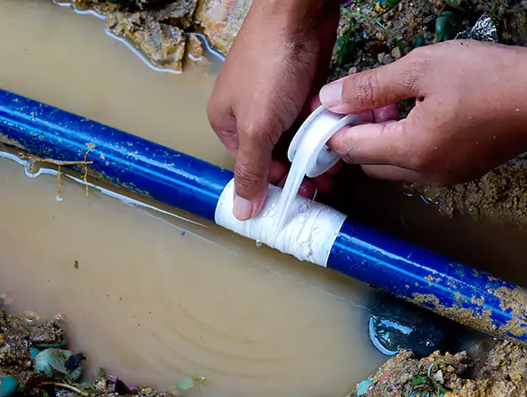  Why Choose Mastic Plumbing for Leak Detection in Mastic, NY?]