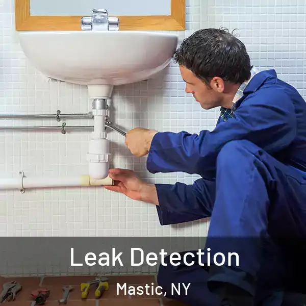  Leak Detection Mastic, NY