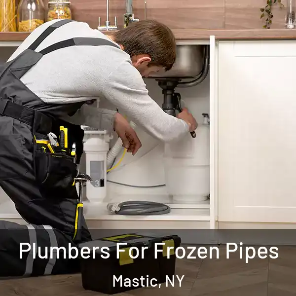  Plumbers For Frozen Pipes Mastic, NY