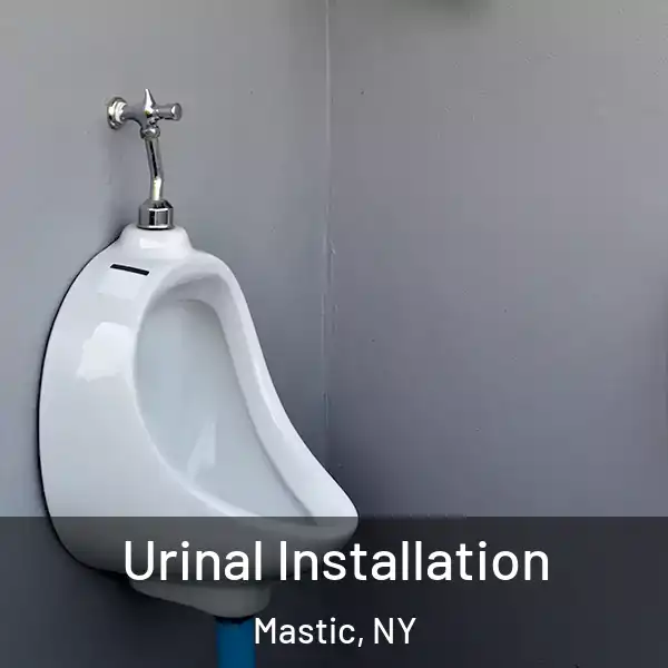  Urinal Installation Mastic, NY