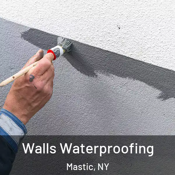  Walls Waterproofing Mastic, NY