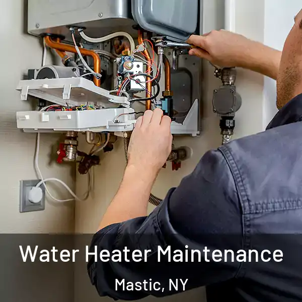  Water Heater Maintenance Mastic, NY